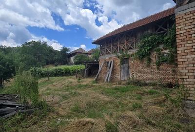 Casă cu 4 camere în Urluiești