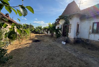 Casă cu 4 camere în Giubega - 6