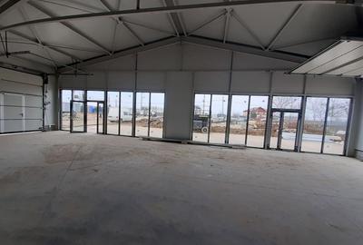 Spațiu industrial, de 300 mp, în Theodor Pallady - 4