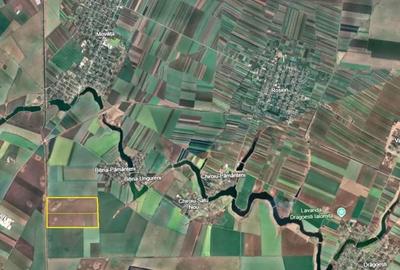 Teren de 1040000 mp, în Movilița - 3