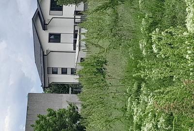 Teren de 5000 mp, în Giulești - 1
