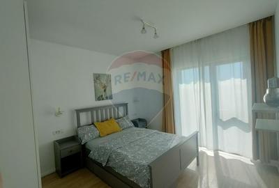 Apartament cu 2 camere decomandat, mobilat în Țiglari - 7