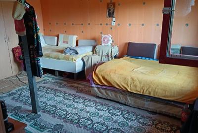 Casă individuală cu 2 camere în Alunișu (Băiculești) - 7