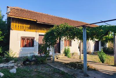 Casă cu 4 camere în Cornești