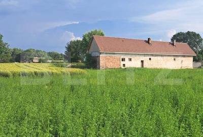 Casă cu 4 camere cu Teren 7020 Mp în Prejmer - 2