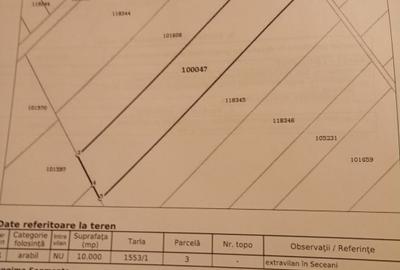 Teren agricol extravilan de 10000 mp, în Orțișoara