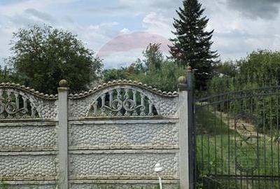 Casă individuală cu 3 camere cu Teren 5063 Mp în Uzunu - 11