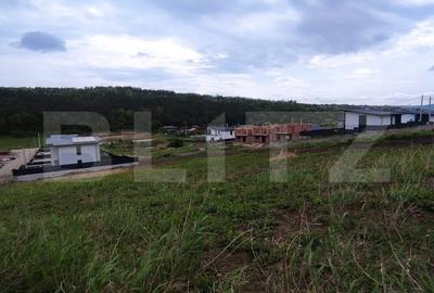 Teren Construcții intravilan de 580 mp, în Valea Lupului