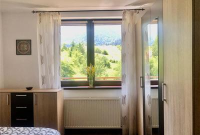 Apartament cu 2 camere decomandat, mobilat în Cernatu - 11