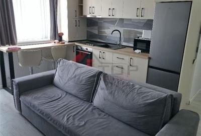 Apartament cu 2 camere în Vișan - 2