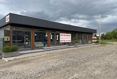 Spațiu comercial, de 120 mp, în Drăgușeni - 7