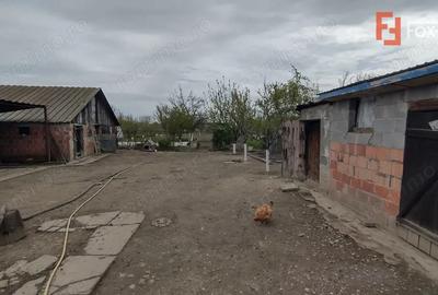 Casă cu 3 camere cu Teren 125 Mp în Sânmihaiu Român - 9
