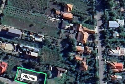 Teren de 750 mp, în Pleșești (Berca) - 2