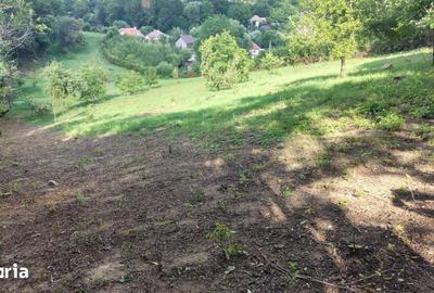 Teren de 5330 mp, în Feleacu