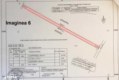 Teren de 24260 mp, în Ciocănești - 5