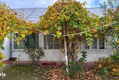 Casă cu 3 camere cu Teren 3200 Mp în Vârteșcoiu - 6