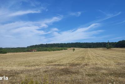 Teren de 70000 mp, în Bârsău