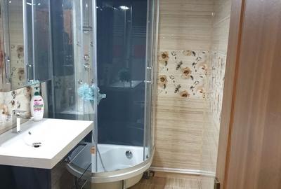 Casă cu 5 camere cu Teren 5000 Mp în Vidra - 11