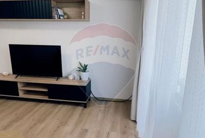 Apartament cu 2 camere semidecomandat, mobilat în Craiovița Nouă - 10