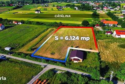 Spațiu comercial, în Cătălina - 3