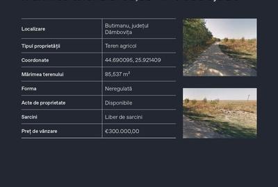 Teren agricol extravilan de 85537 mp, în Butimanu - 1