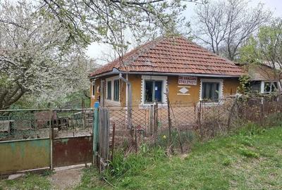 Casă cu 4 camere cu Teren 35000 Mp în Nadanova - 1