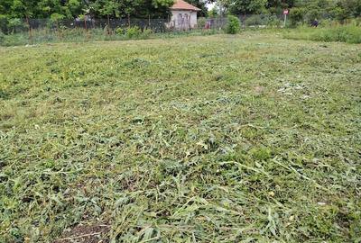 Teren de 5000 mp, în Corbii Mari - 6