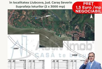 Teren agricol extravilan de 3000 mp, în Liubcova - 4