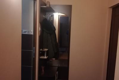 Apartament cu 2 camere semidecomandat în Craiovei - 8