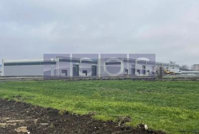 Spațiu industrial, de 1,020 mp, în Mogoșoaia - 1