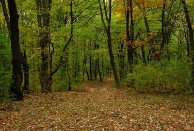 Teren agricol extravilan de 650 mp, în Slobozia Mândra - 1
