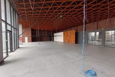 Spațiu comercial, de 760 mp, în Calea București - 3