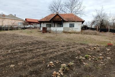 Casă cu 3 camere cu Teren 2394 Mp în Fărcășești