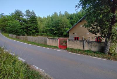 Casă individuală cu 4 camere cu Teren 8700 Mp în Băița - 5