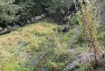 Teren de 1000 mp, în Central - 2