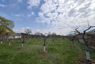 Teren de 2000 mp, în Răucești - 2