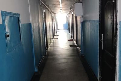Garsonieră decomandată în Bucium - 2