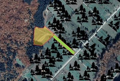 Teren intravilan de 10200 mp, în Valea Doftanei