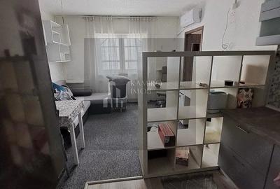 Apartament cu 2 camere semidecomandat în Ozana
