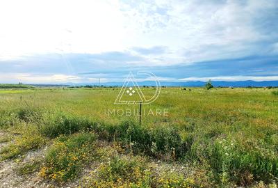 Teren agricol extravilan de 10000 mp, în Bucureasa - 2