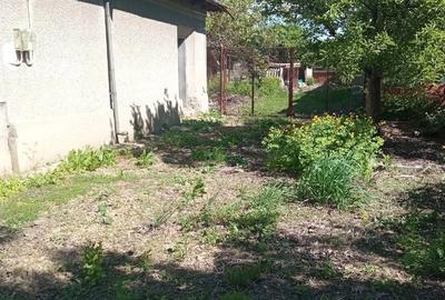 Casă cu 3 camere cu Teren 2588 Mp în Suhaia - 3