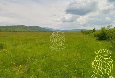 Teren extravilan de 13100 mp, în Orheiu Bistriței - 4