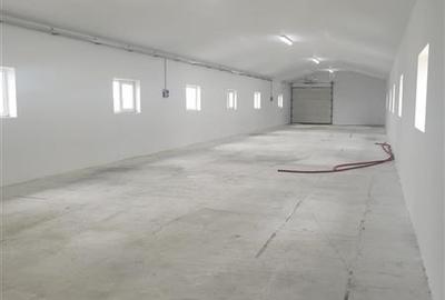 Spațiu industrial, de 370 mp, în 9 Mai - 17