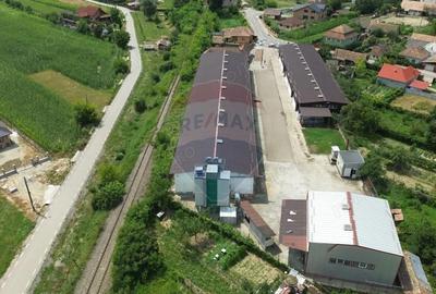 Spațiu comercial, de 2,500 mp, în Sângeorgiu de Pădure - 3