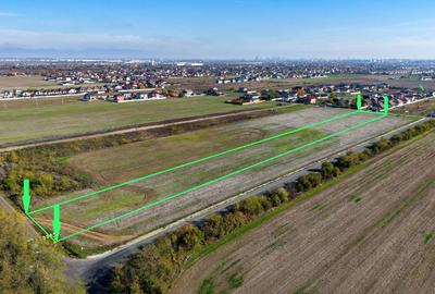 Teren Construcții intravilan de 6700 mp, în Dragomirești-Deal - 3