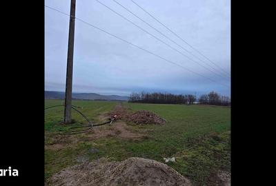 Teren de 520 mp, în Oșorhei