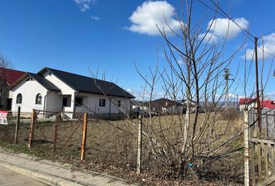Teren Construcții intravilan de 3712 mp, în Sud - 5