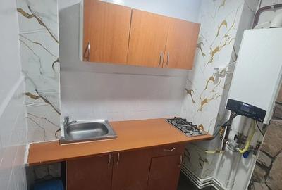 Garsonieră semidecomandată în Valea Rosie - 8