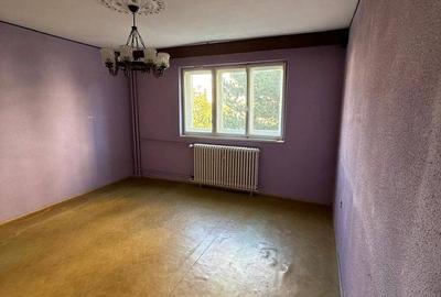 Apartament cu 2 camere în Mănăștur