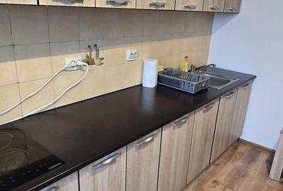 Apartament cu 2 camere decomandat, mobilat în Iosefin - 10